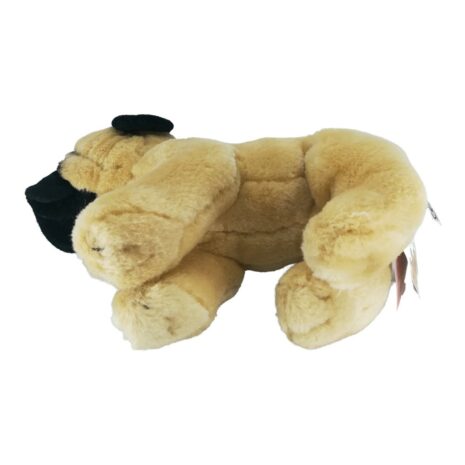 Penya-Mops-klein-Handtaschenhund