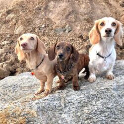 WhatsApp Image 2023-11-07 at 18.40.32