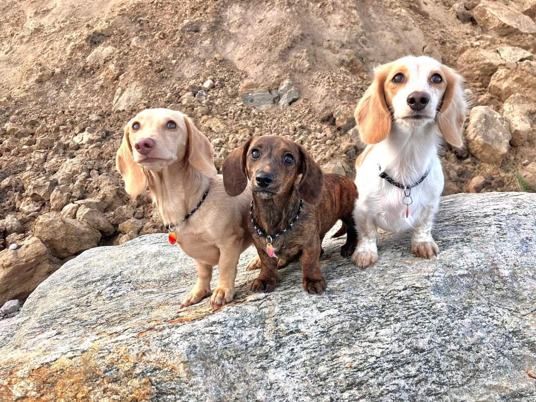 WhatsApp Image 2023-11-07 at 18.40.32 WhatsApp Image 2023-11-07 at 18.40.32