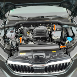 Motorraum Pkw Bio-Kat CRP Sticker