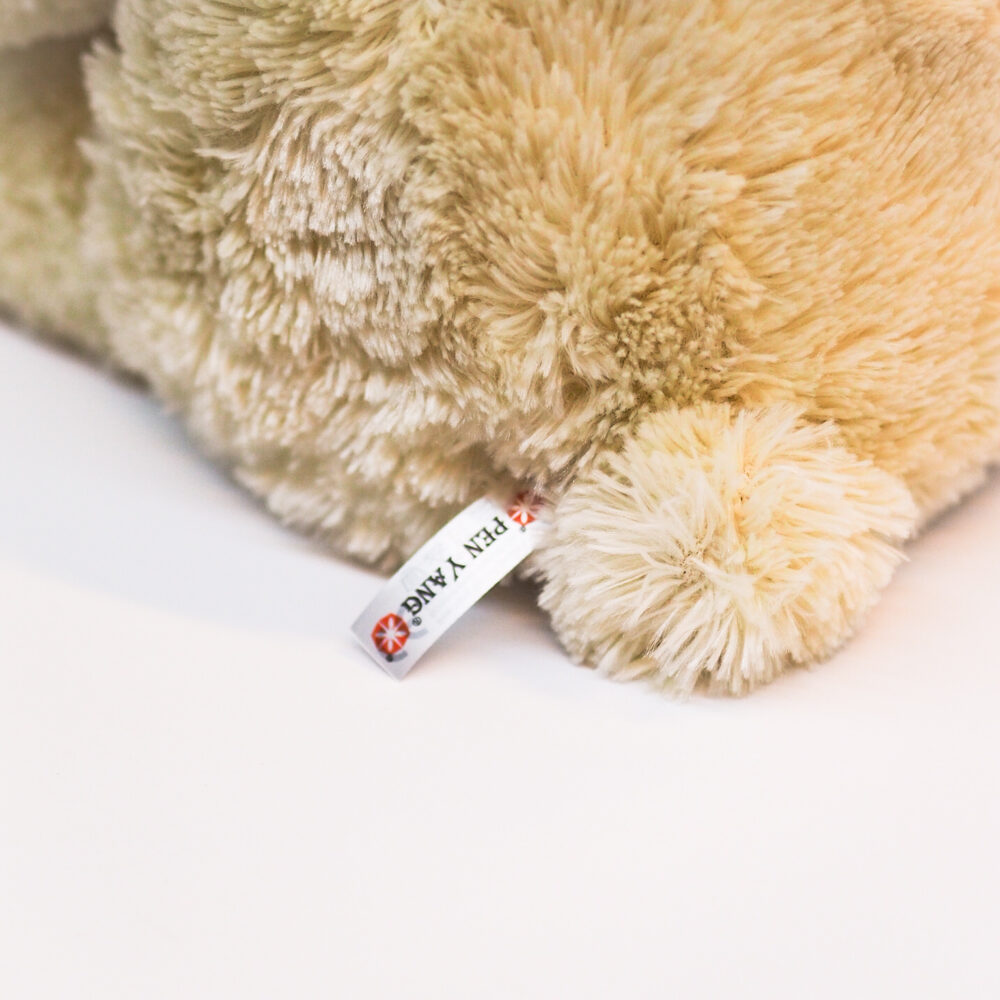 P8088015 (1) P8088015 (1)