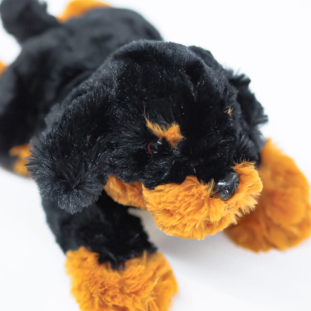 P9058969 (1) P9058969 (1)