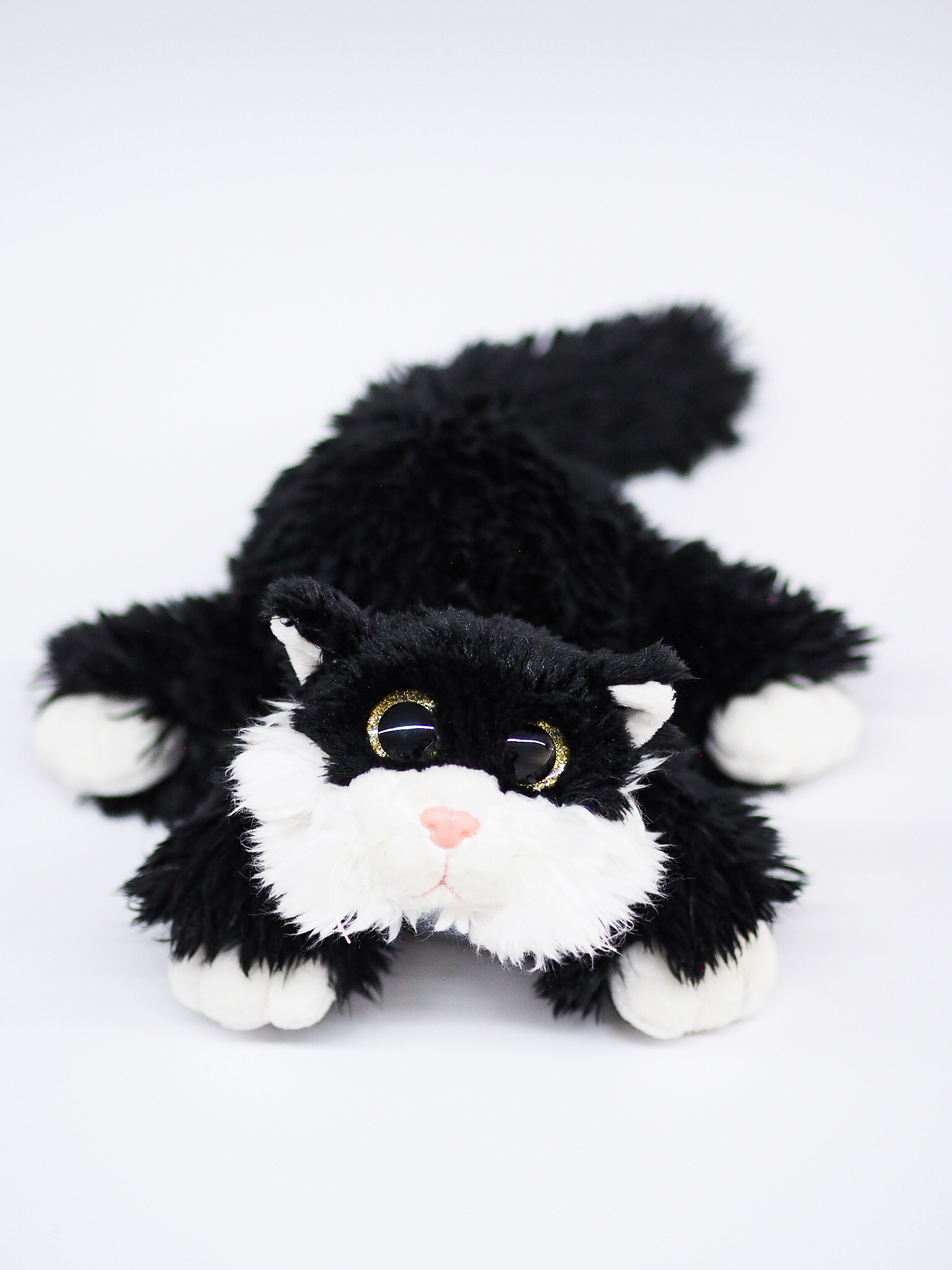 Kater “Freddy” PENYANG®