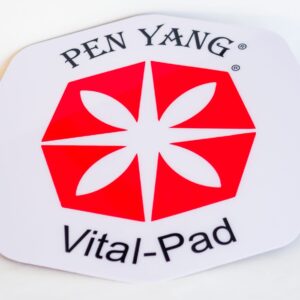 Vital-Pad zum Energetisieren von Lebensmittel und Wasser