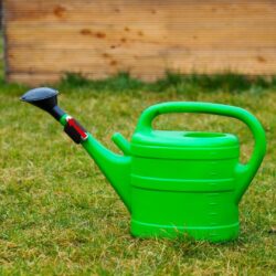 Design ohne Titel - 2